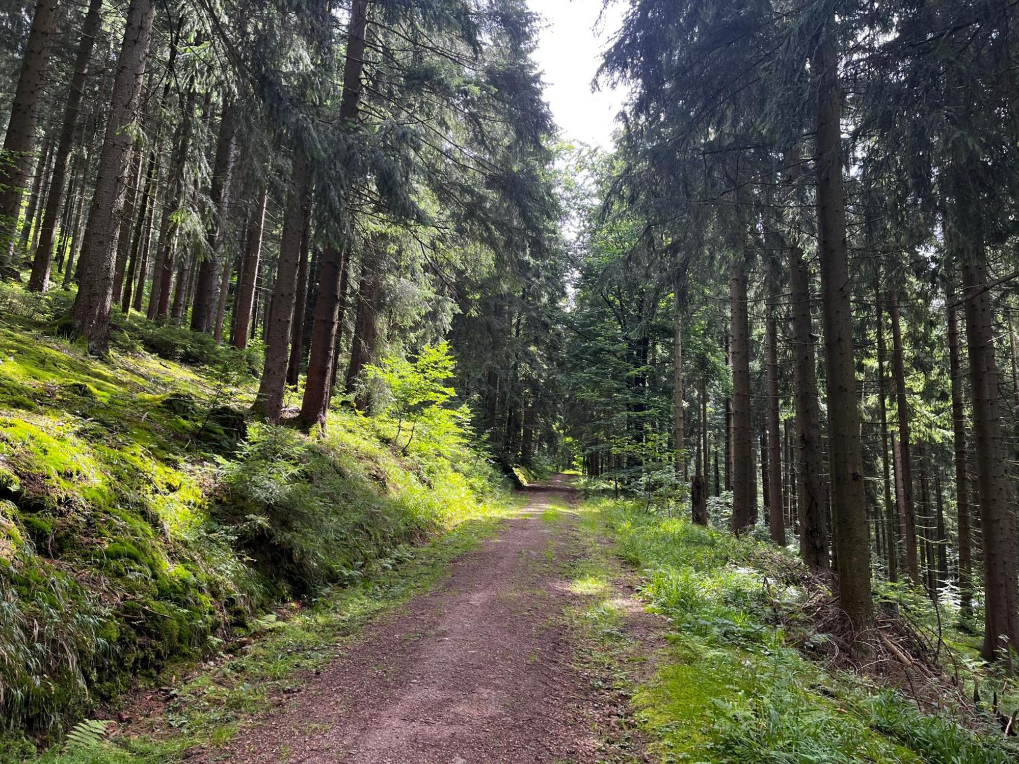 Gaestehaus Im Erzgebirge Zwoenitz Экстерьер фото